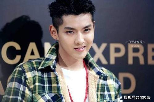 谁爆料的吴亦凡事件最新,神秘爆料者揭露惊人内幕  第1张