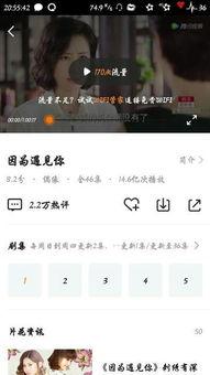 大王爆料视频大全最新,揭秘娱乐圈幕后真相  第2张